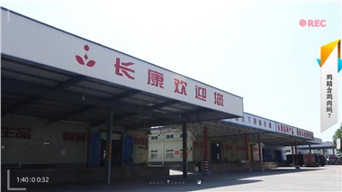 透明基地 鲜味直击｜溯源康浓鸡精原产地！