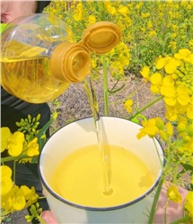 过年囤货，买什么炒菜油更好更健康？